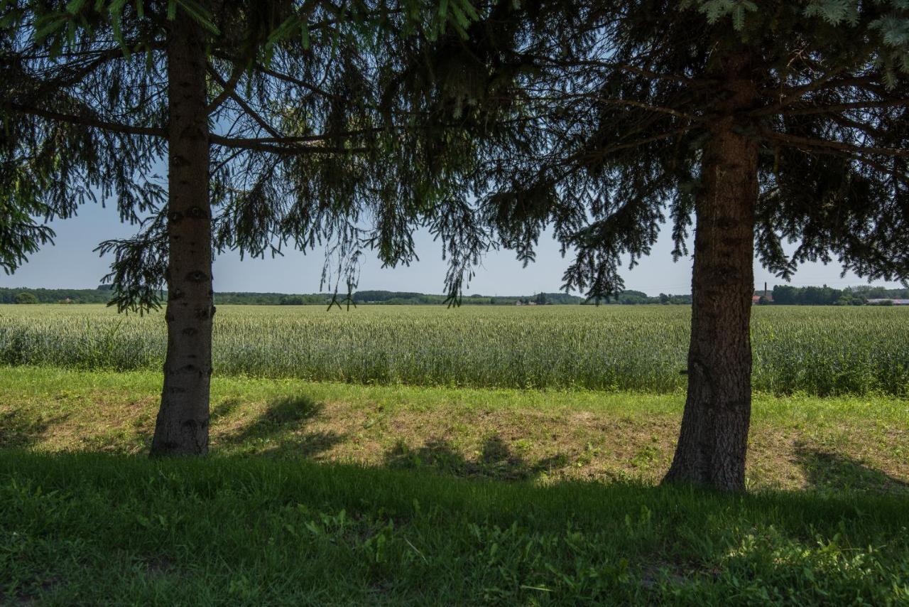 Posteleki Vendeghaz-Nyugalom Szigetei Villa Gyula Dış mekan fotoğraf
